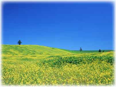 いまなり整骨院,MTS