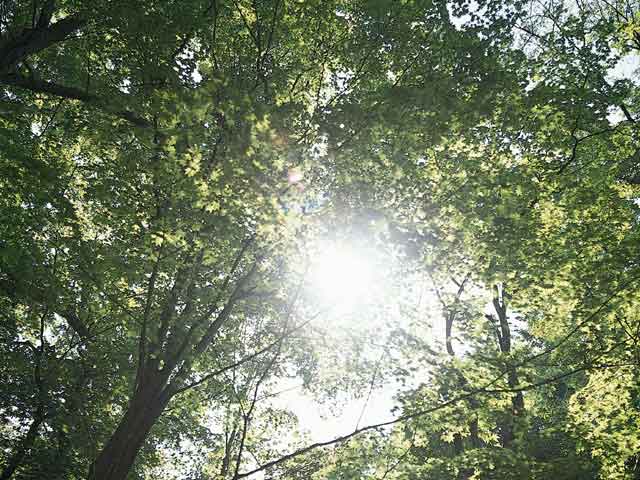 ���܂Ȃ萮���@,MTS