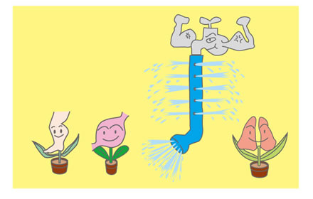 �Q�n,�a��,�����@